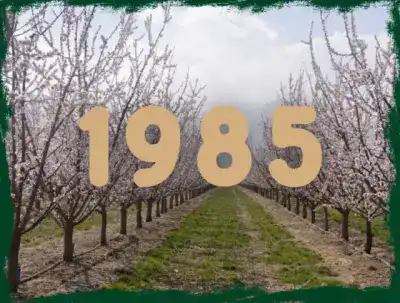 IFS Food Processing Facility